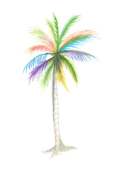 水彩彩虹椰子树插图，自然油漆
