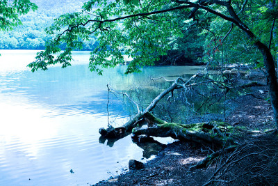 湖的风景