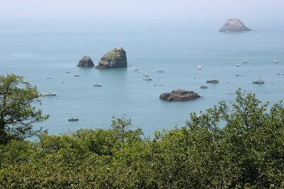 加州北岸