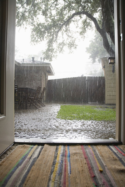 后院下大雨