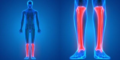 关节疼痛解剖学(胫、腓骨)