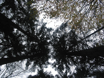 皮尼贝格休闲区2002年10月