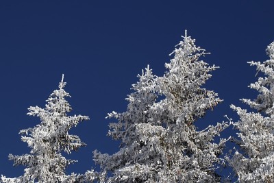 山 - 雪下山 - MASSIF DES BAUGES - SAVOIE
