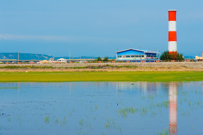 台湾台中的湿地
