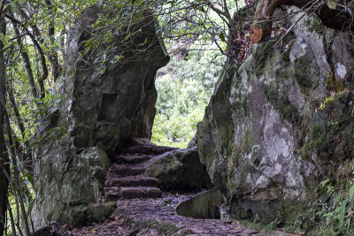 勒瓦达·多·弗拉多隧道，里贝罗·弗里奥·马德拉，葡萄牙，欧洲