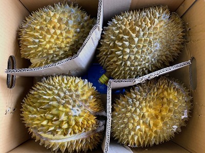 榴莲
