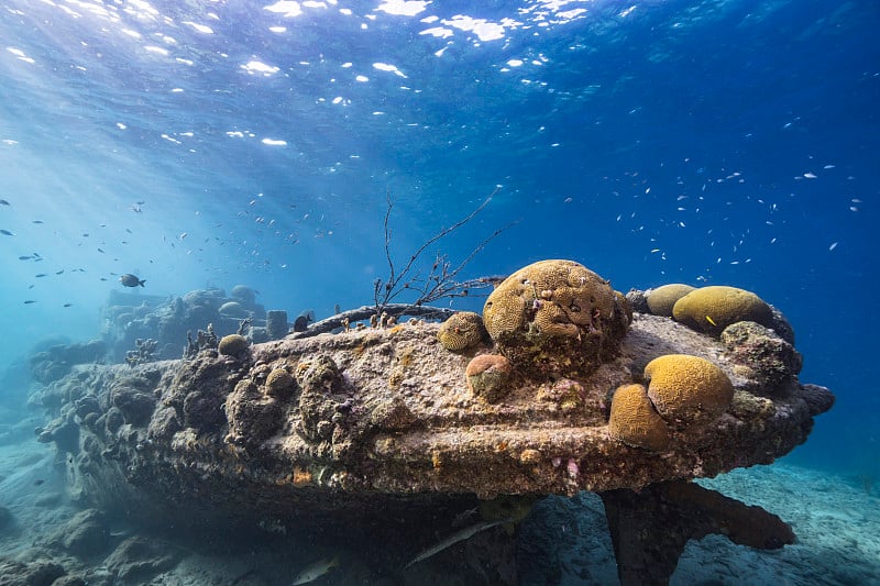 在库拉索岛附近的加勒比海，有拖船沉船、珊瑚和海绵在蓝绿色的珊瑚礁水中