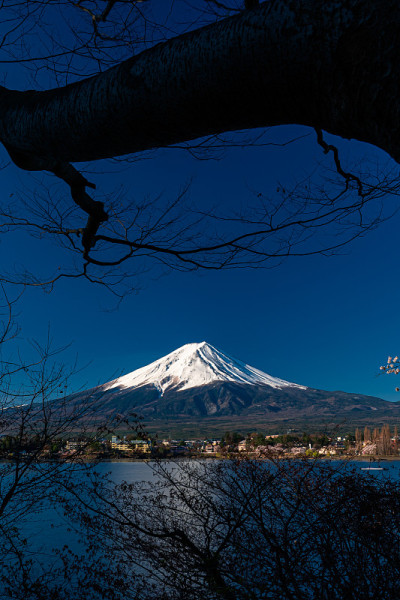 日本藤吉田川口子富士山。