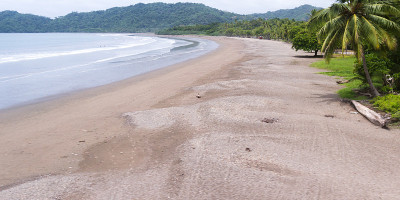 热带海滩，Playa Tambor