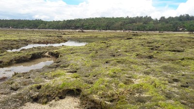印度尼西亚Sukabumi, Minajaya海滩上的岩石、水和海浪的照片