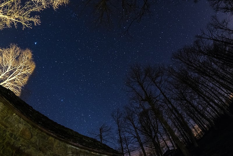 鱼眼的星空与模糊的运动云，捕捉稀疏的山毛榉林地。大熊座或北斗七星在中央。风景扭曲，180度视角。