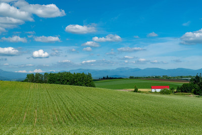 北海道，夏日的Biei风景。