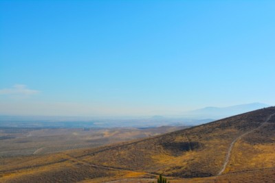 山