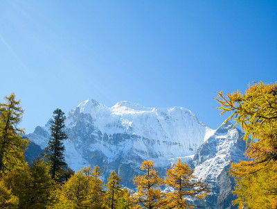 在亚丁，雪山覆盖的山峰上有五颜六色的秋叶