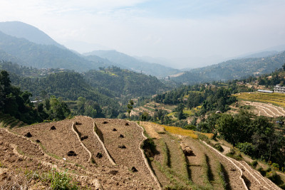 新了梯田