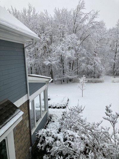 窗外雪景