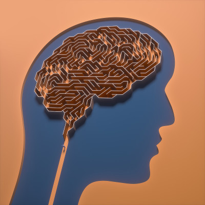 脑迷宫科学与医学研究