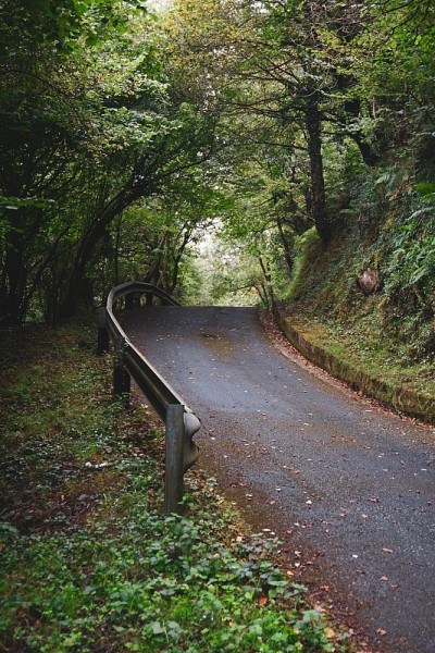 西班牙毕尔巴鄂的秋日山路