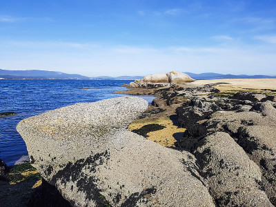 海滩上的海岸岩石