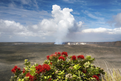 基拉韦厄火山与奥亚树和它的花，乐华开花。Halemaumau火山口。夏威夷大岛