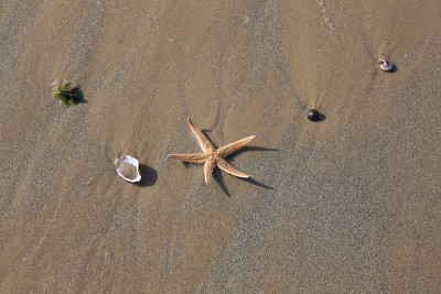 浪迹