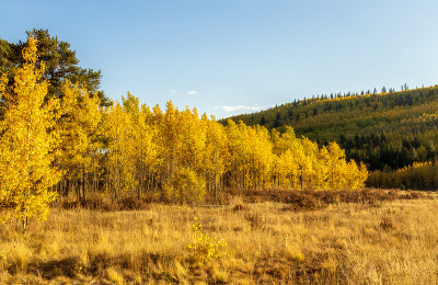科罗拉多州落基山脉的秋天风景-基诺沙山口