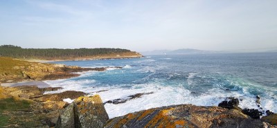 海洋