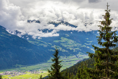 山