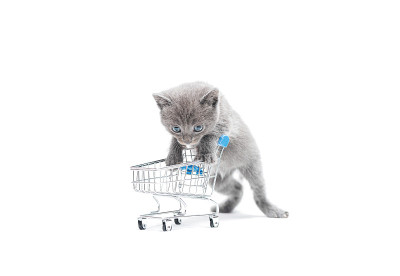 灰色小猫推着购物车。