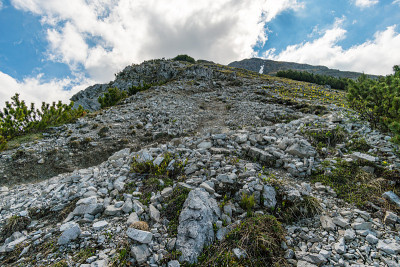 阿尔卑斯山的阿尔卑斯山之旅