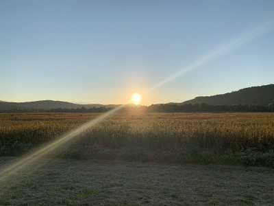 太阳光束