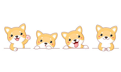 设定边界与卡哇伊柴犬小狗