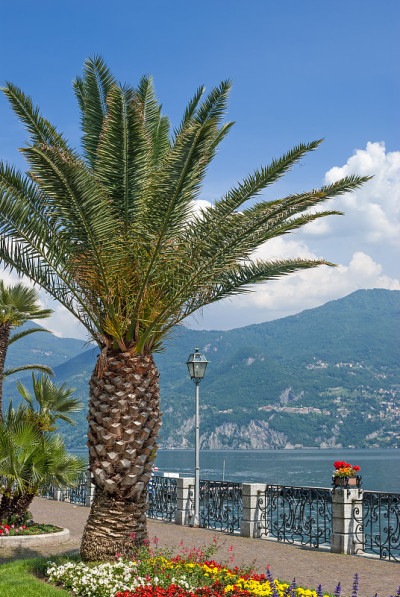 Menaggio,意大利科莫湖