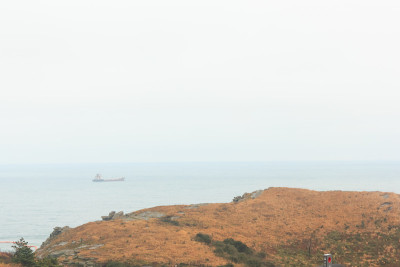 济州岛的冬季景观