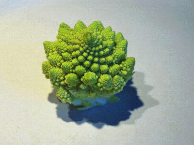 罗曼斯科花椰菜