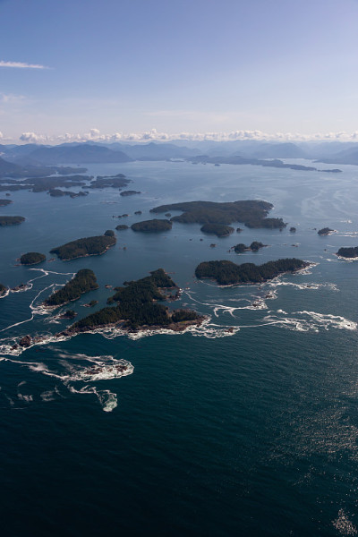 太平洋海岸天线