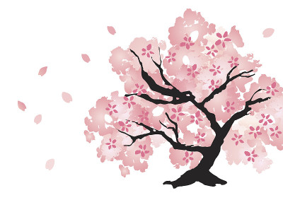 美しい桜の木