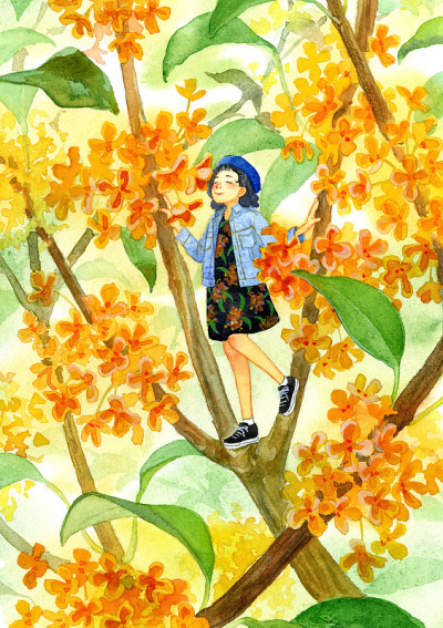 桂花和仙女