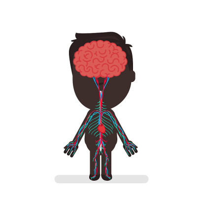 Human body anatomy vector illustration