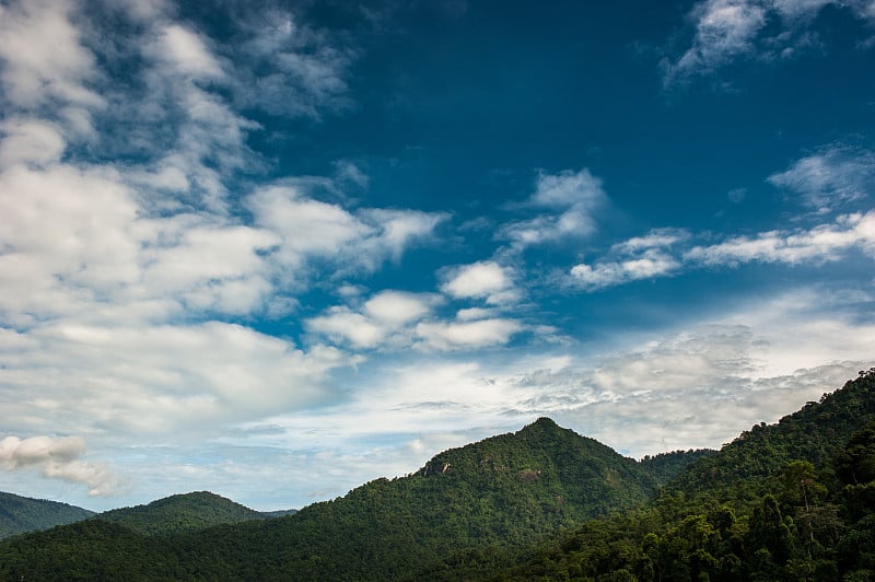 山风景背景。国家公园的森林。