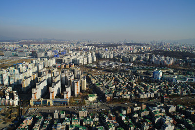 韩国首尔的猫洞