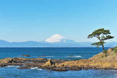 富士山，我在tateishikouen看到的
