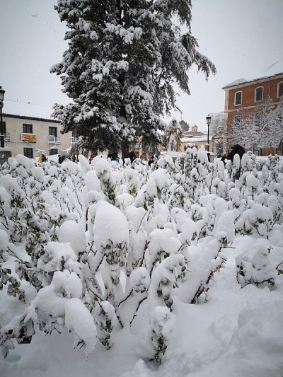 阿尔卡莱德赫纳雷斯的雪