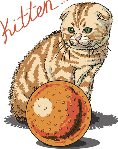 小猫
