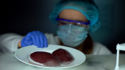 营养师从冰箱里取出肾脏检查肾脏的性质和食物质量