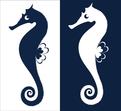 海马