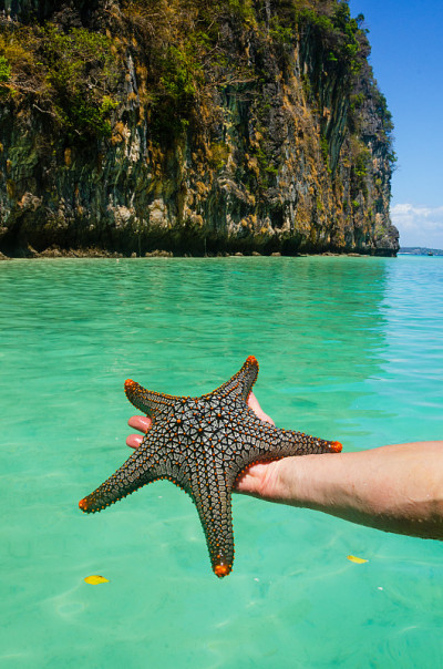 海星对着蓝色的泻湖