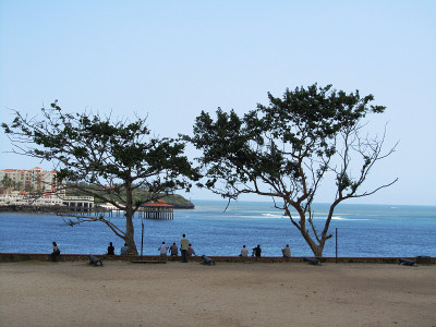 蒙巴萨海全景