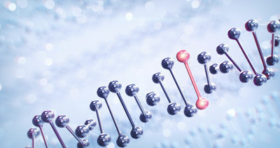 人类DNA(明亮)