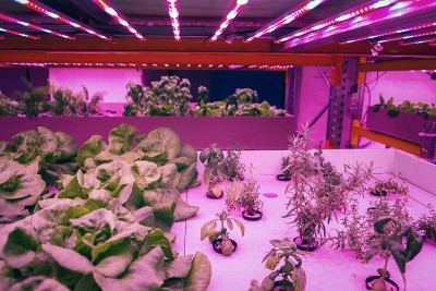 水产养殖与水培相结合，在人工照明下在水中培育植物，有机食品理念下，多种草本植物和蔬菜在特殊的LED灯